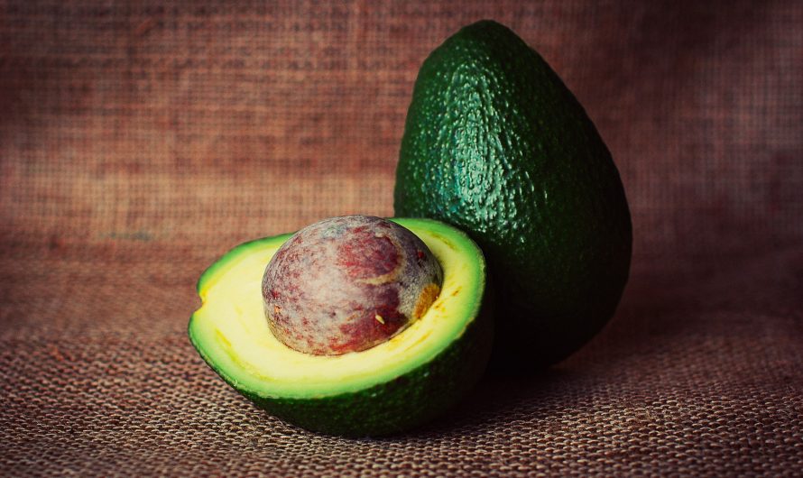 7 Gründe, warum Avocados gesund sind