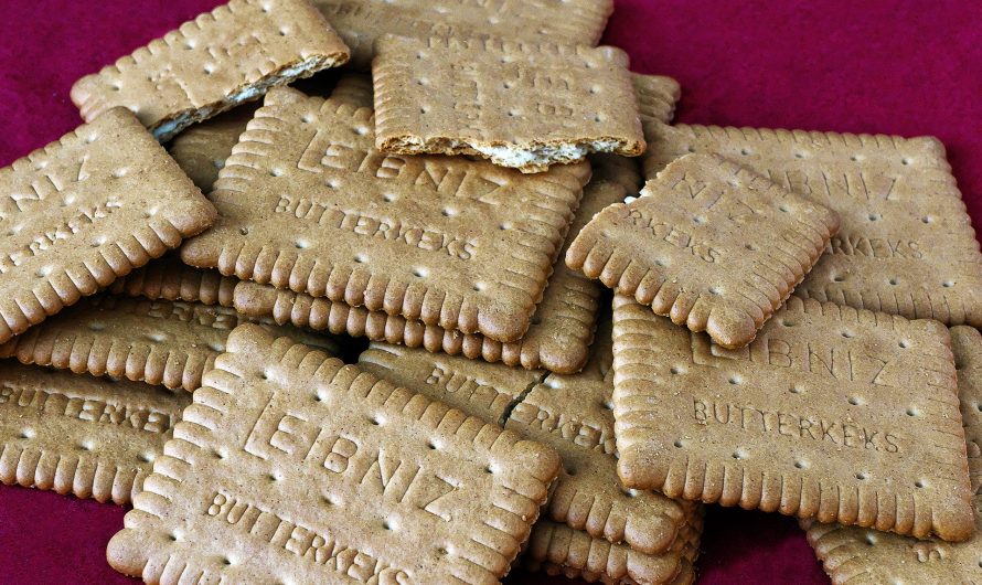 Bananen-Butterkeks-Dessert ohne Backen