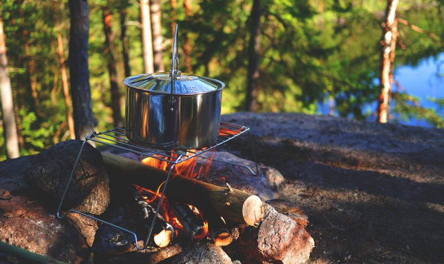 Lekere Rezeptideen für ein Lagerfeuer