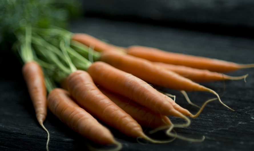 Veganer Räucherlachs aus Karotten