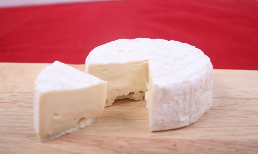 1 kg selbstgemachter Käse aus 2 L Milch
