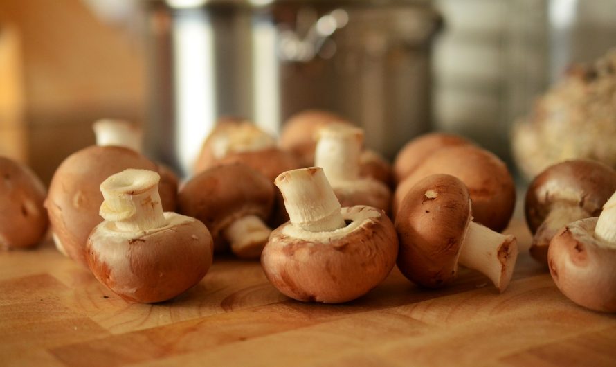 Gebratene Champignons