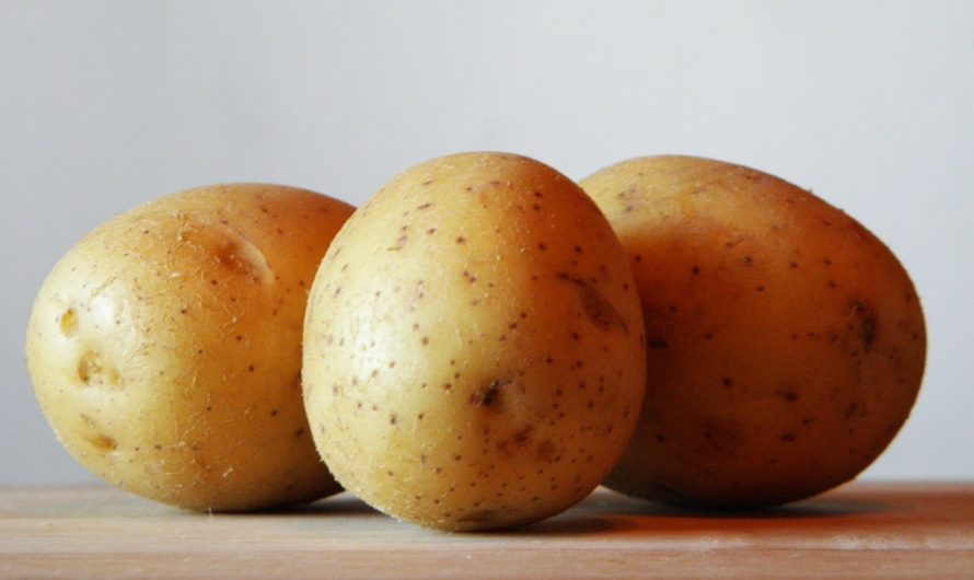 Knusprige Kartoffeltaler