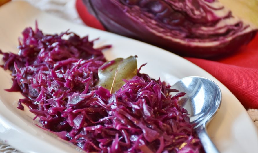 Karamellisierter Apfelrotkohl