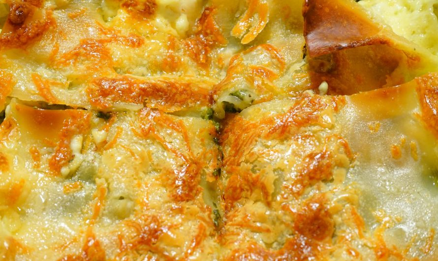 Chicorée-Gratin