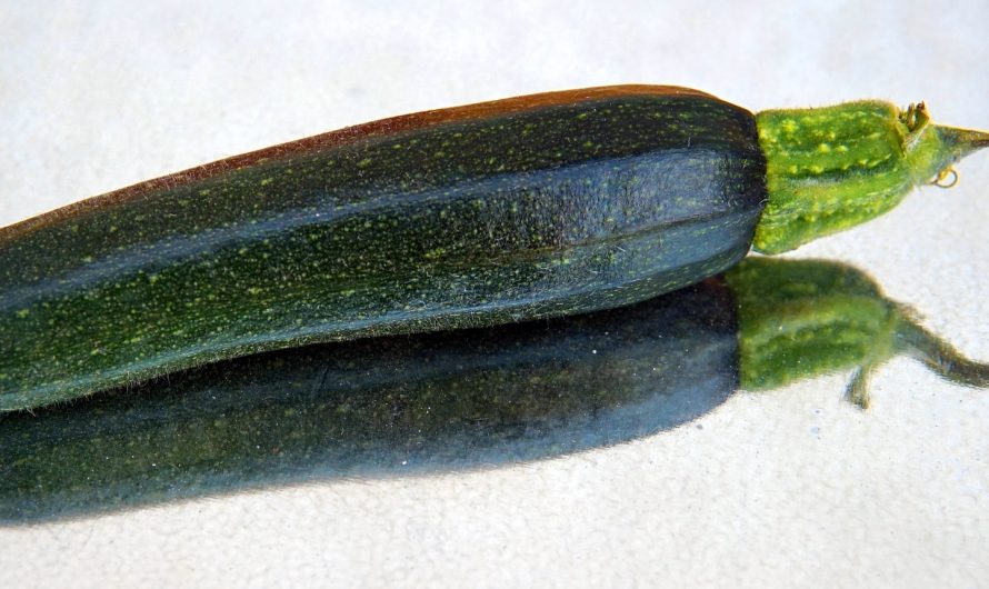 Gefüllte Zucchini mit Hack und Kichererbsen